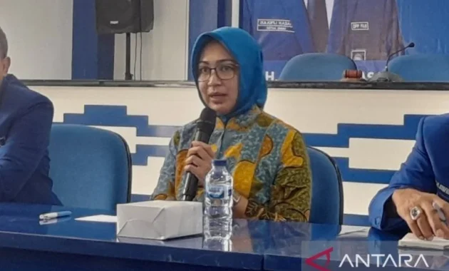 Airin: Kasus daycare darurat kemanusiaan, respons lewat regulasi nyata