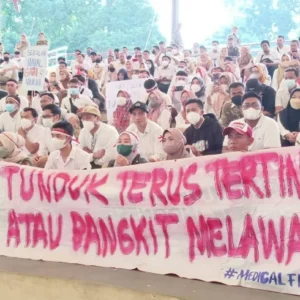 Aliansi PPPK Paruh Waktu Gugat Presiden: Tiga Tuntutan, Dua Solusi, dan Empat Berita Lain yang Menggegerkan Indonesia!