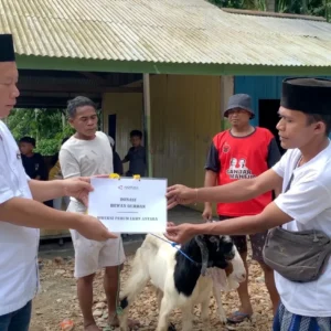 ANTARA Salurkan Hewan Kurban untuk Masyarakat Adat Selena di Palu