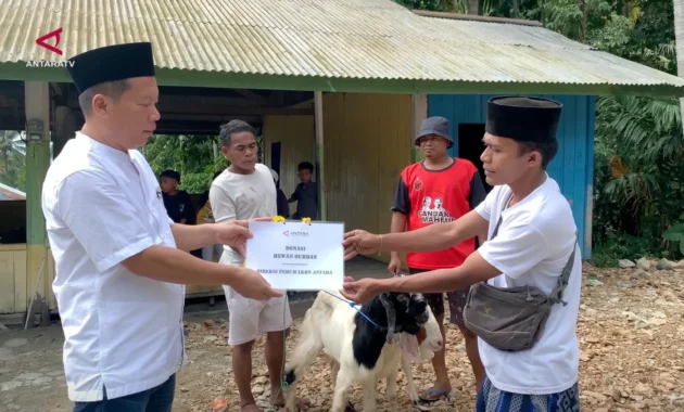 ANTARA Salurkan Hewan Kurban untuk Masyarakat Adat Selena di Palu
