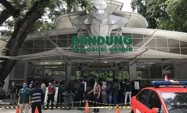 Bandung Bergeliat: Kebun Binatang Dilelang Ulang, Rute DAMRI Berubah, Golok Idul Adha Melejit, dan 5 Tempat ‘Bengong’ yang Wajib Dikunjungi