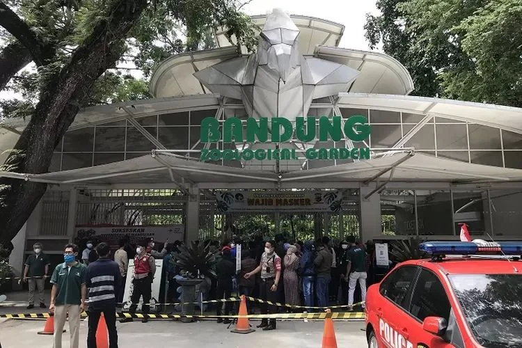 Bandung Bergeliat: Kebun Binatang Dilelang Ulang, Rute DAMRI Berubah, Golok Idul Adha Melejit, dan 5 Tempat ‘Bengong’ yang Wajib Dikunjungi