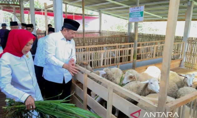 Baznas Luncurkan Balai Ternak untuk Perkuat Ekonomi Peternak Mustahik di Tegal Baznas Luncurkan Balai Ternak untuk Perkuat Ekonomi Peternak Mustahik di Tegal