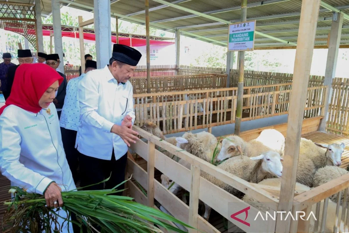Baznas Luncurkan Balai Ternak untuk Perkuat Ekonomi Peternak Mustahik di Tegal