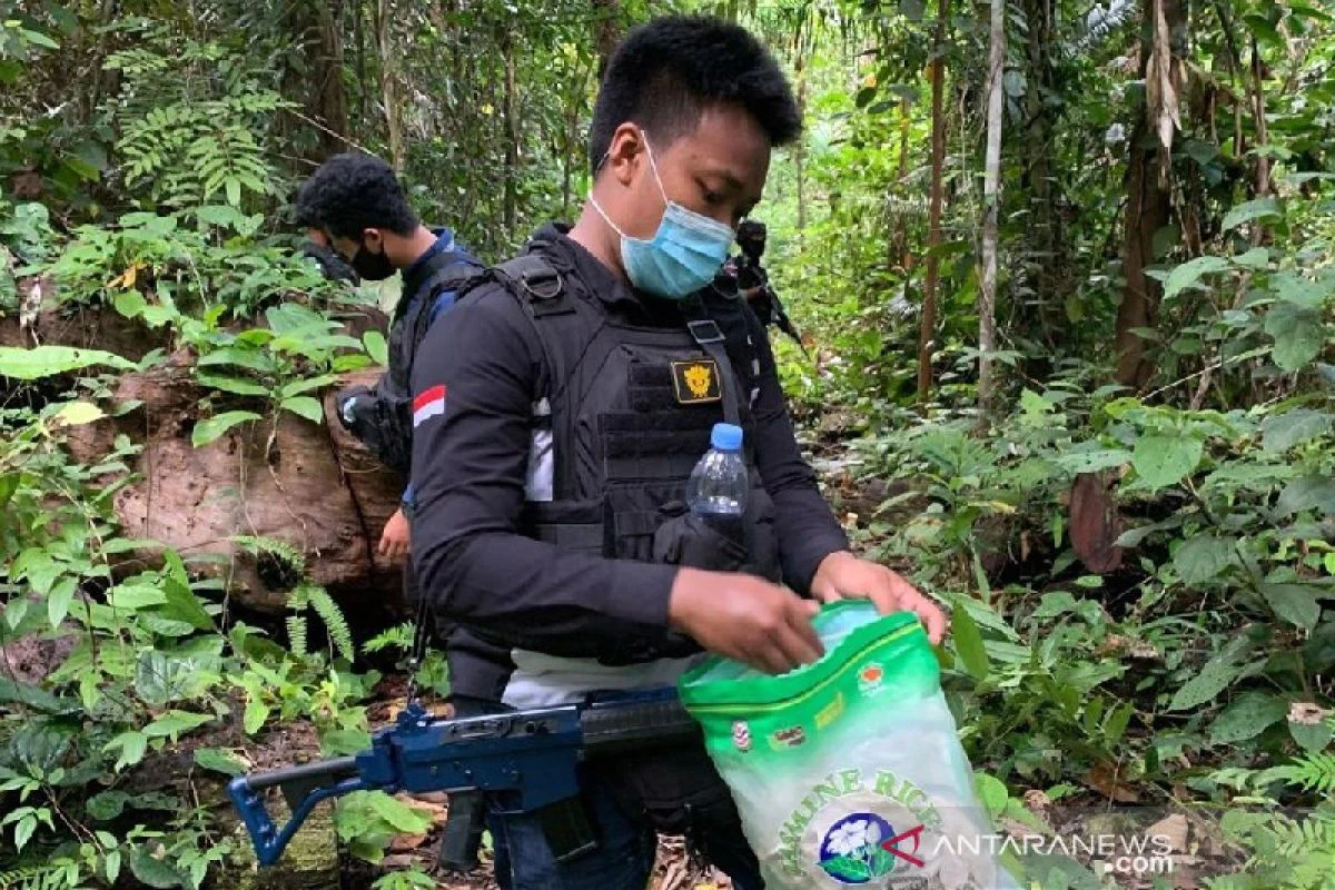 Bea Cukai Jayapura Gagalkan Penyederetan 2,1 Kg Ganja di Pos Lintas Batas Negara Skouw