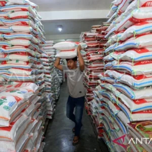 Beras Tak Lagi Penyumbang Inflasi Tertinggi, Pemerintah Tegaskan Stabilitas