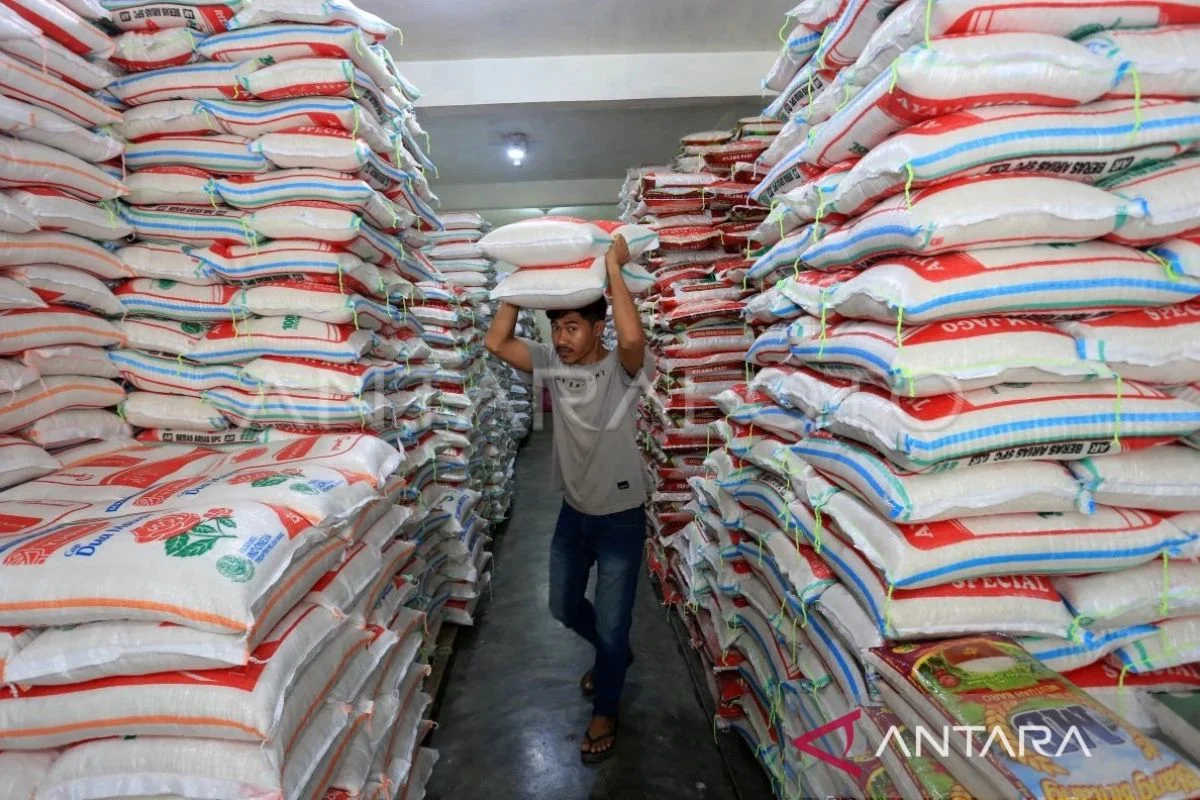 Beras Tak Lagi Penyumbang Inflasi Tertinggi, Pemerintah Tegaskan Stabilitas