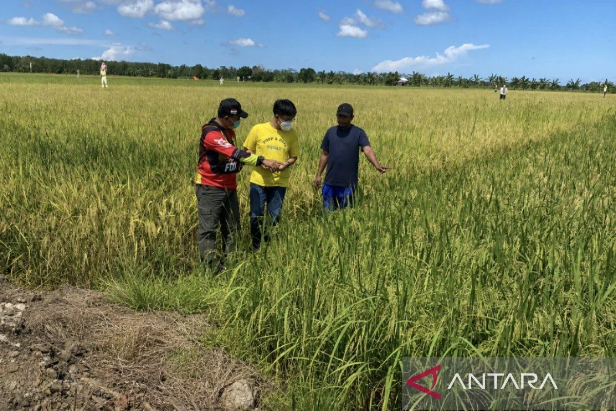 Bermalam di Lumbung Harapan demi Menjaga Senyum Petani