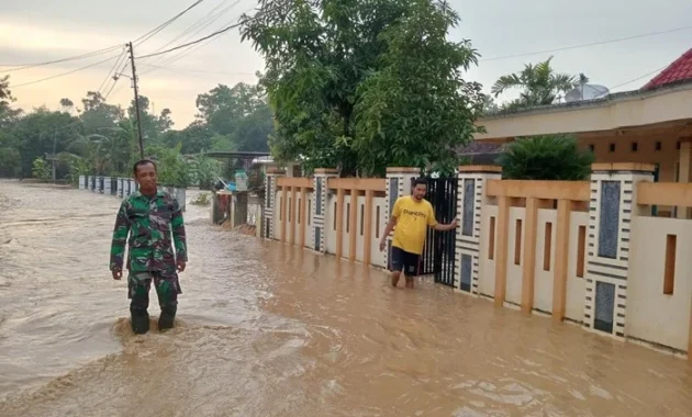 BNPB: Tanggul Sungai Godo yang jebol perparah banjir di Pati