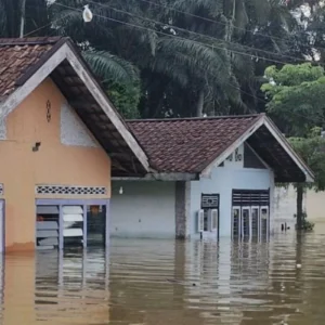 BPBD Semarang Catat 556 Kepala Keluarga Terdampak Banjir di Tugu dan Ngaliyan