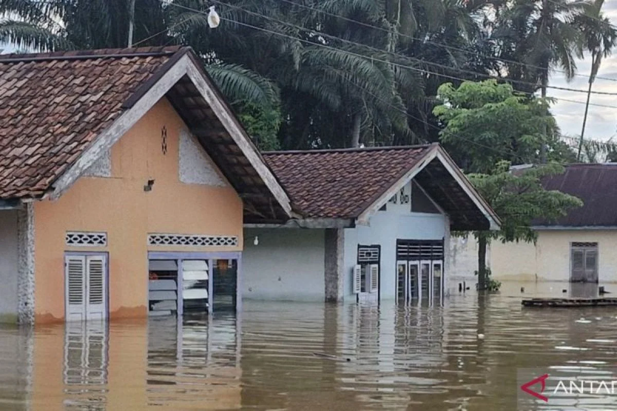 BPBD Semarang Catat 556 Kepala Keluarga Terdampak Banjir di Tugu dan Ngaliyan
