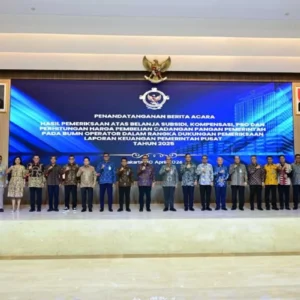 BPK catat peningkatan kualitas pengelolaan subsidi BUMN
