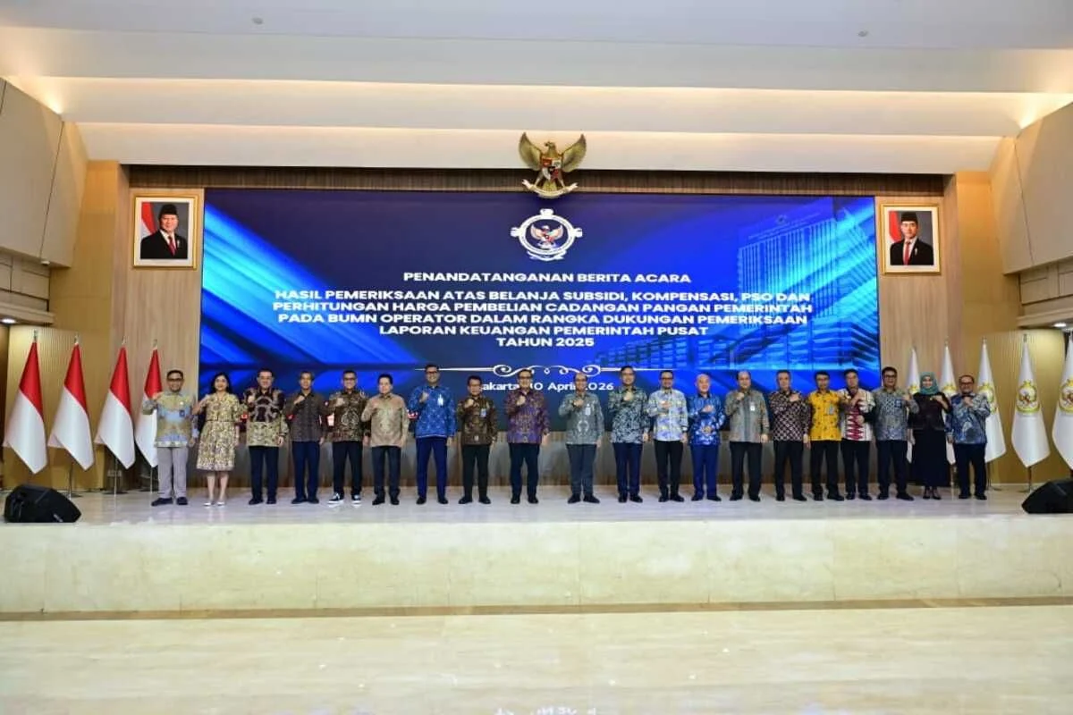 BPK catat peningkatan kualitas pengelolaan subsidi BUMN