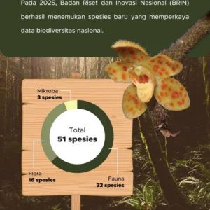 BRIN Ungkap Penemuan 29 Spesies Flora Baru Tahun 2025-2026