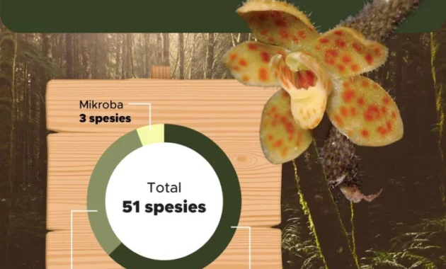 BRIN Ungkap Penemuan 29 Spesies Flora Baru Tahun 2025-2026 BRIN Ungkap Penemuan 29 Spesies Flora Baru Tahun 2025-2026