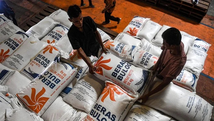 Bulog Buka Gudang: Warga Kini Bisa Cek Stok Beras Nasional Secara Langsung