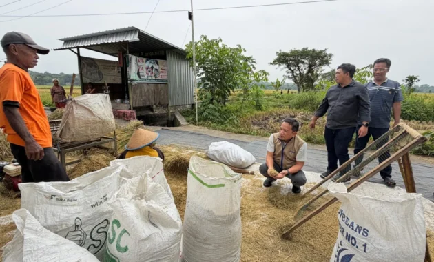 Bulog Serap 8.700 Ton Beras Petani Sulawesi Tengah hingga Mei 2026 Bulog Serap 8.700 Ton Beras Petani Sulawesi Tengah hingga Mei 2026
