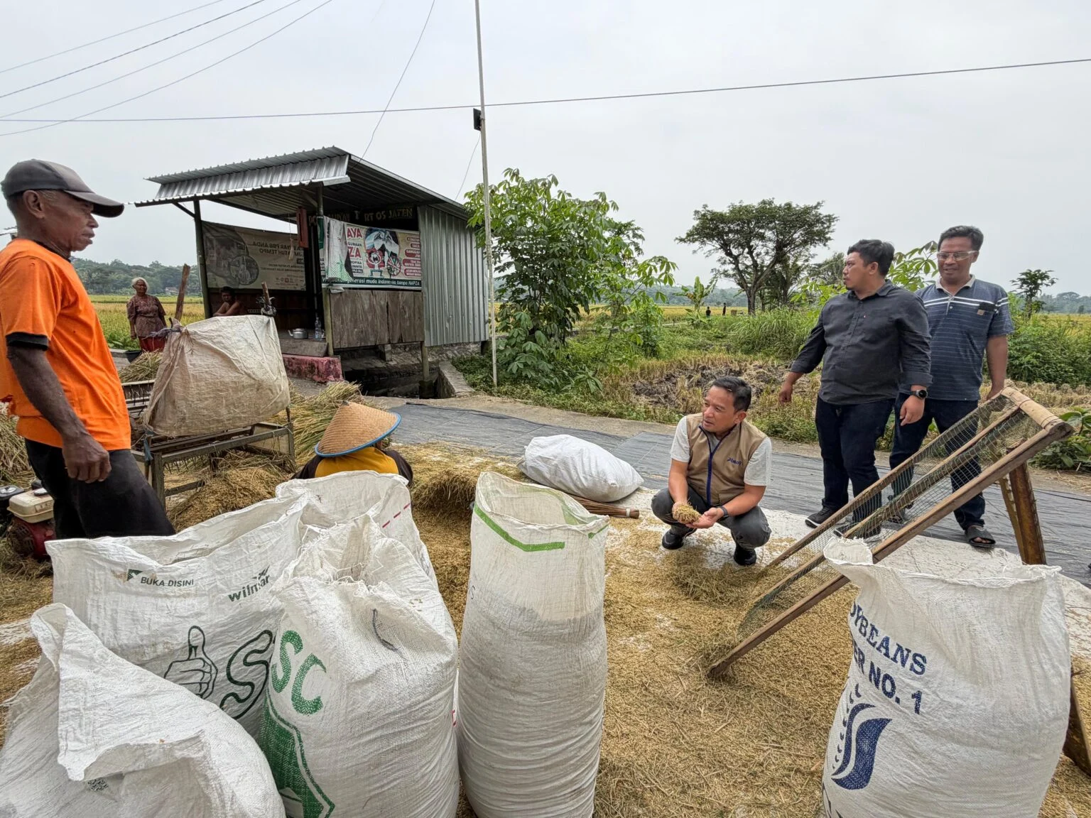Bulog Serap 8.700 Ton Beras Petani Sulawesi Tengah hingga Mei 2026