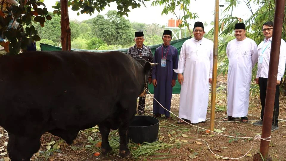 Bupati Bintan Serahkan Sapi Kurban dari Presiden Prabowo