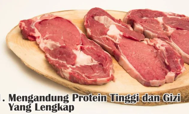 Daging Kurban Ternyata Setara Whey Protein, Bisa Tingkatkan Massa Otot