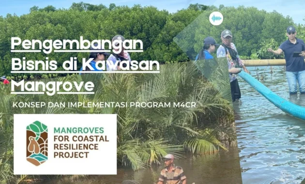 Dana Hibah Program M4CR Dorong Pengembangan Ekowisata Mangrove di Penajam