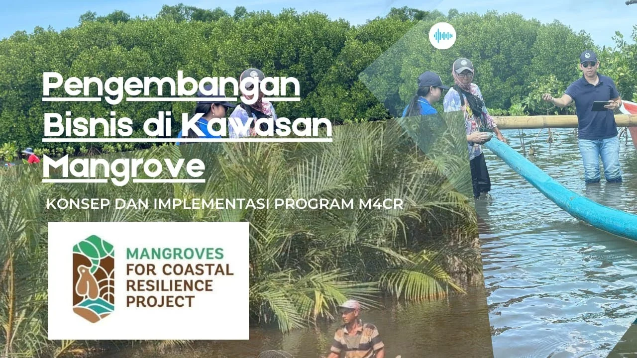 Dana Hibah Program M4CR Dorong Pengembangan Ekowisata Mangrove di Penajam