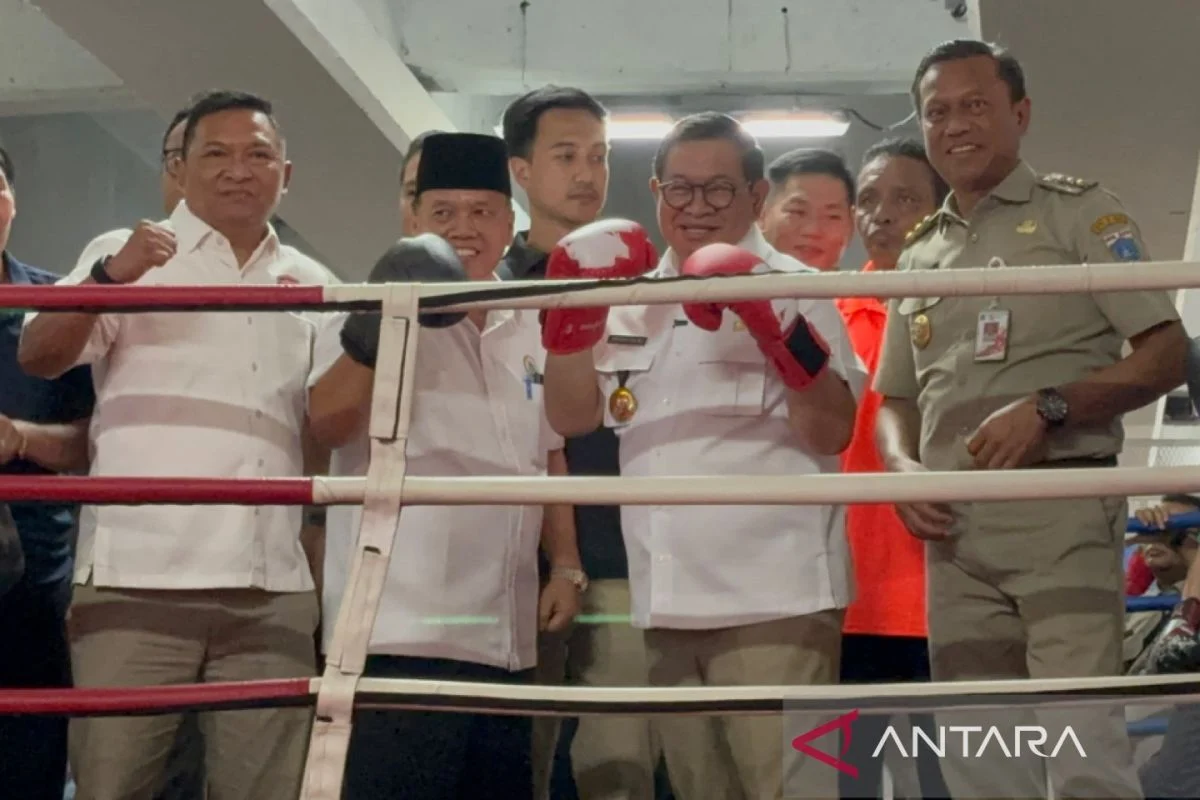 Diresmikan, Ring Tinju Kolong Flyover Pasar Rebo Jadi Wadah Cegah Tawuran
