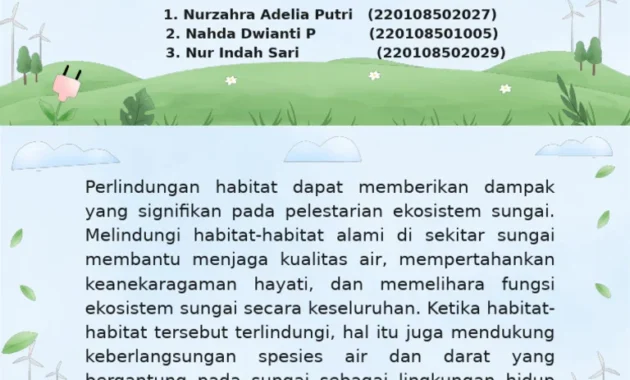 DLH Kaltim Perketat Izin Limbah Usaha demi Pelestarian Ekosistem Sungai