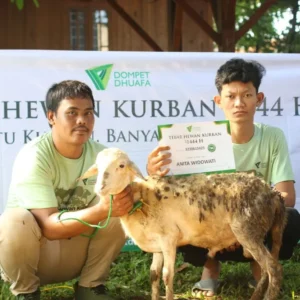Dompet Dhuafa Salurkan Hewan Kurban ke Daerah 3T dan Korban Bencana