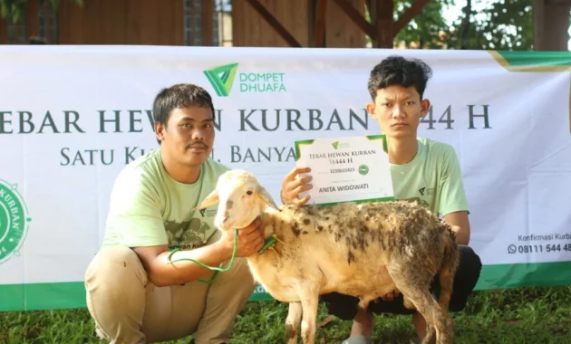 Dompet Dhuafa Salurkan Hewan Kurban ke Daerah 3T dan Korban Bencana Dompet Dhuafa Salurkan Hewan Kurban ke Daerah 3T dan Korban Bencana