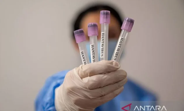 Dua Warga Singapura Penumpang MV Hondius Dinyatakan Negatif Hantavirus