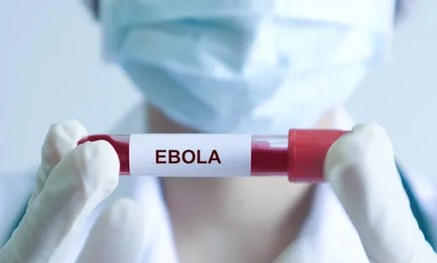 Ebola kembali meningkat, kita perlu waspada Ebola kembali meningkat, kita perlu waspada