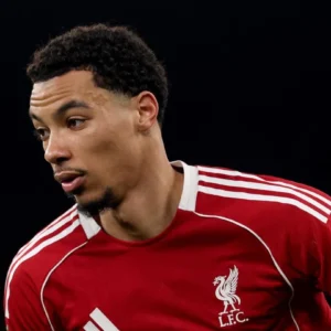 Ekitike Menggebrak: Nominasi UNFP, Cedera Menghambat, dan Spekulasi Transfer Liverpool