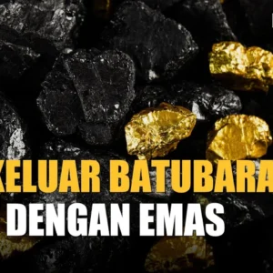 ESDM masih bahas bea keluar batu bara meski akan diekspor lewat DSI