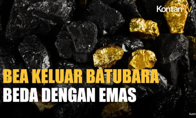 ESDM masih bahas bea keluar batu bara meski akan diekspor lewat DSI