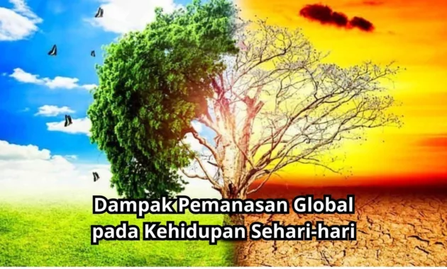 Fenomena Frieren: Dari Dunia Fantasi ke Kehidupan Sehari-hari, Menggugah Hati Penonton Global Fenomena Frieren: Dari Dunia Fantasi ke Kehidupan Sehari-hari, Menggugah Hati Penonton Global