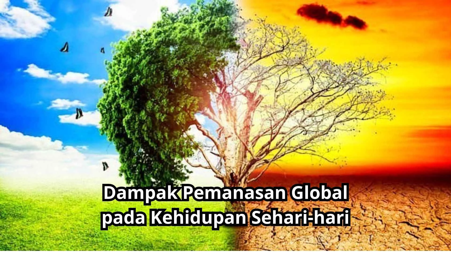 Fenomena Frieren: Dari Dunia Fantasi ke Kehidupan Sehari-hari, Menggugah Hati Penonton Global