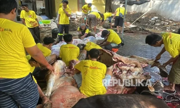 Golkar DKI Jakarta Distribusikan 117 Hewan Kurban di Lima Wilayah