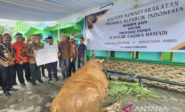 Golkar Sebut Bantuan 1.098 Ekor Sapi Kurban Presiden Prabowo Bukan Kepentingan Pribadi, Tapi Banpres untuk Rakyat