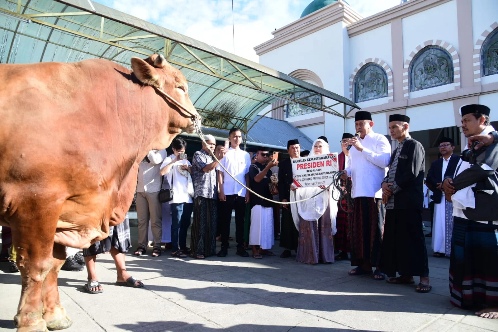 Gubernur Gorontalo Serahkan Sapi Kurban Bantuan Presiden di UNG