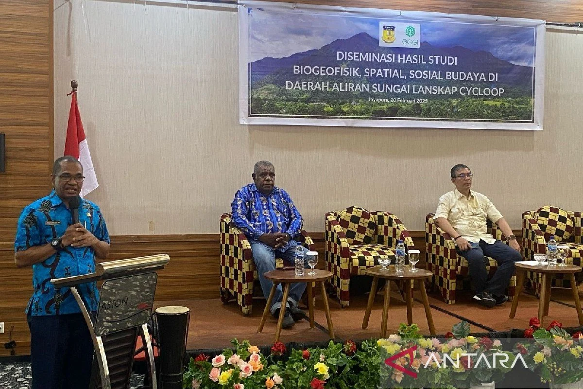 Gubernur Papua Dorong Hilirisasi Hasil Hutan di Sarmi