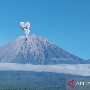 Gunung Semeru Erupsi Lima Kali, Tinggi Letusan Capai 1,2 Kilometer