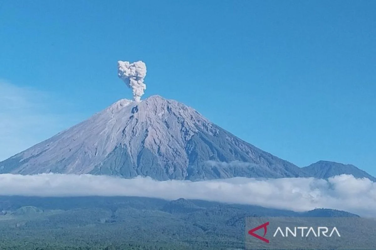 Gunung Semeru Erupsi Lima Kali, Tinggi Letusan Capai 1,2 Kilometer