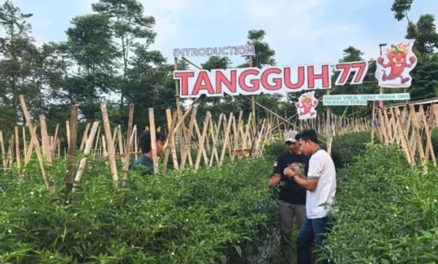 Hadapi Musim Kemarau, Petani Jabar Ikuti Edukasi Pentingnya Perubahan Pola Budidaya