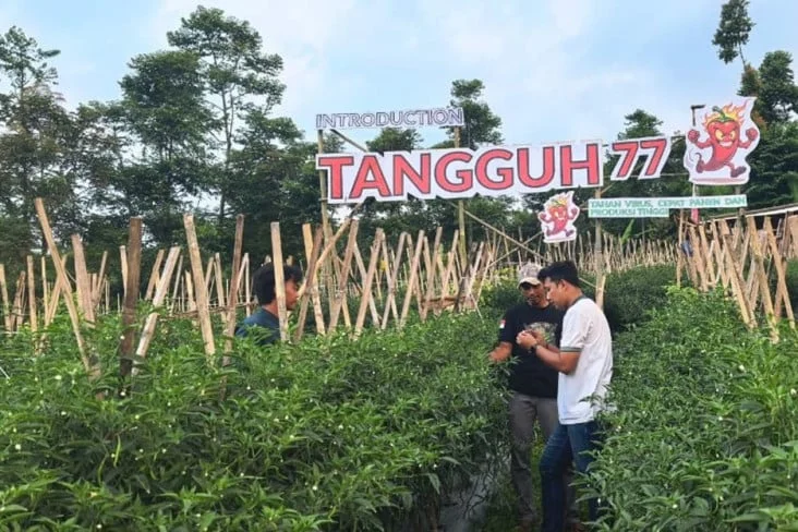 Hadapi Musim Kemarau, Petani Jabar Ikuti Edukasi Pentingnya Perubahan Pola Budidaya