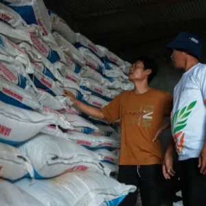 Harga Pupuk Dunia Naik 40 Persen, Presiden Prabowo Turunkan 20 Persen untuk Petani