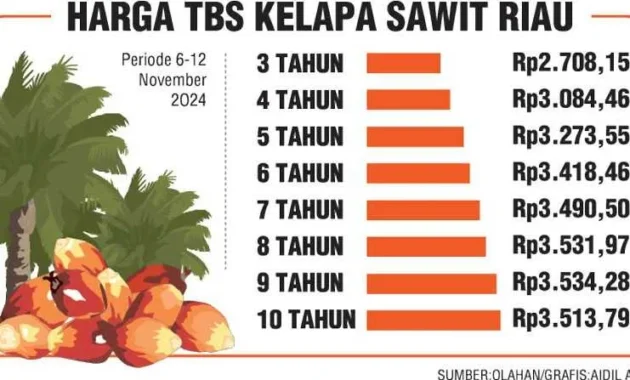 Harga Sawit Jatuh Bebas, Pemerintah Riau Tegaskan Aturan Baru untuk Lindungi Petani Harga Sawit Jatuh Bebas, Pemerintah Riau Tegaskan Aturan Baru untuk Lindungi Petani