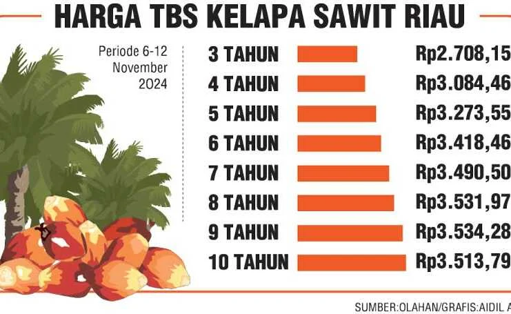 Harga Sawit Jatuh Bebas, Pemerintah Riau Tegaskan Aturan Baru untuk Lindungi Petani