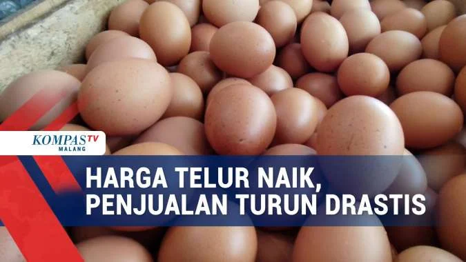 Harga Telur Magetan Turun Drastis, BGN Desak SPPG Jawa Timur Tambah Menu Telur di MBG