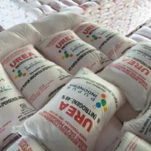Indonesia Ekspor 500 Ribu Ton Pupuk Urea ke Australia, Nilai Transaksi Rp 7 Triliun